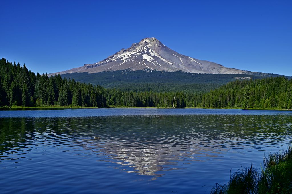 oregon mount hood from trillium lake